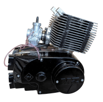 RZT Komplettmotor
