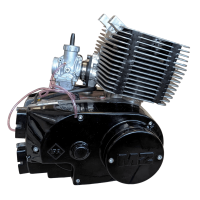 Komplettmotor ETZ160/170 SP
