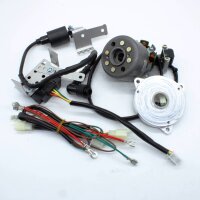 RZT Zündung Delta 21 für Honda 50/80...
