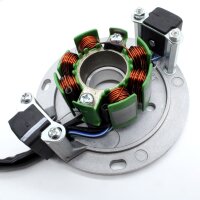 RZT Zündung Delta 25 für Mehrzylindermotoren