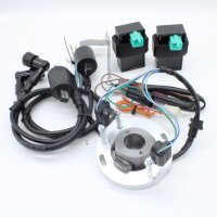 RZT Zündung Delta Racing für ZW1103/ TS8...